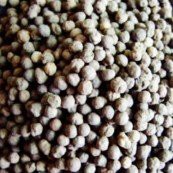 Ceramic grain filters